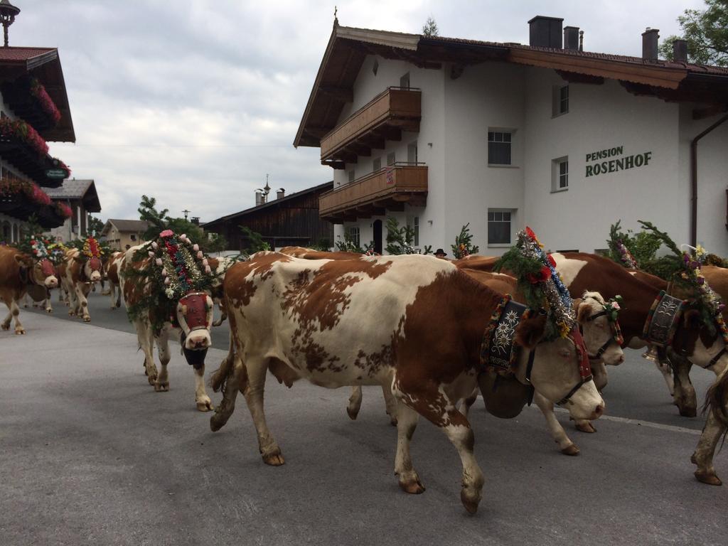 Pension Rosenhof Brixen im Thale Kültér fotó